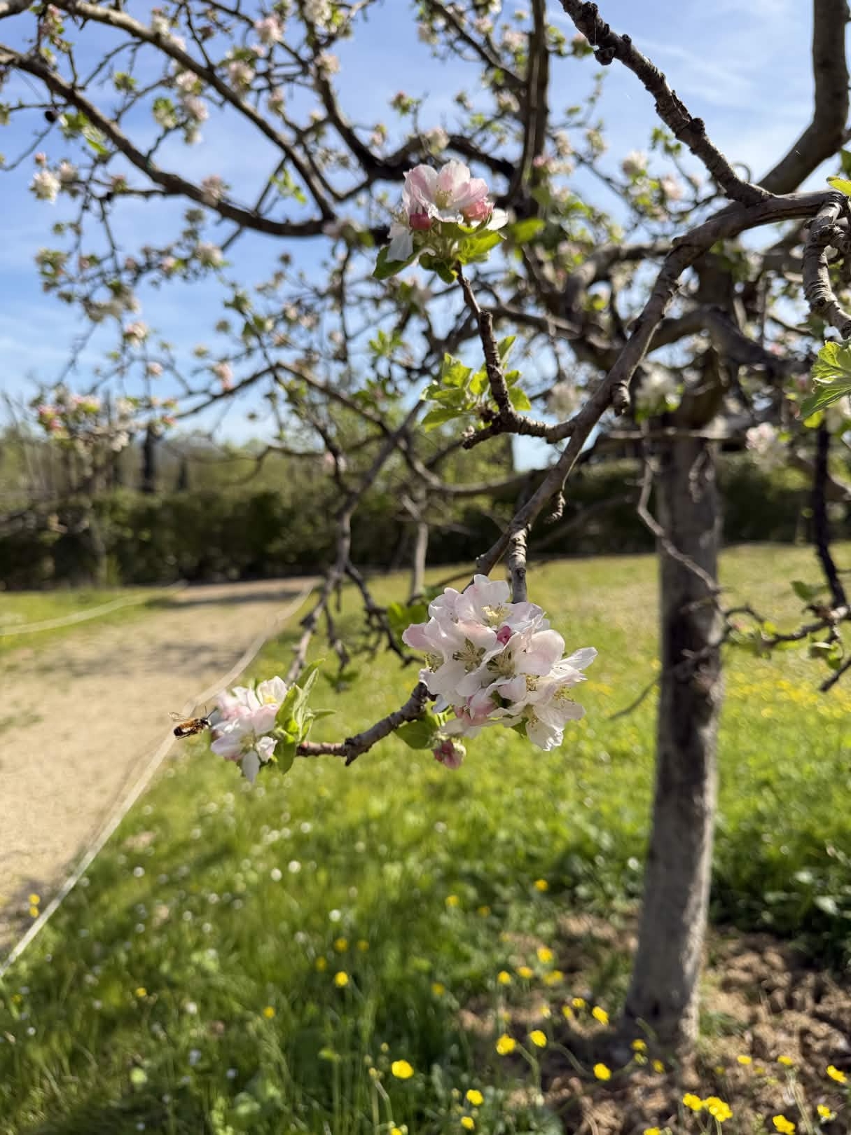 Monday, April 6